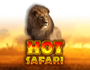 สล็อตHot Safari